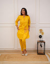 LOOK CLASSY AND ELEGANT COINS KURTI PAIRED WITH PANT (ASC 270725)